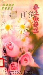 眷上你的痴 1996 PDF电子版封面 7539613912 (台湾)黄莺著
