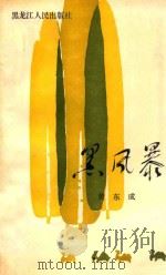 黑风暴 1989 PDF电子版封面 7207009984 黄东成著