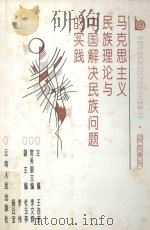 马克思主义民族理论与中国解决民族问题的实践   1996  PDF电子版封面  7222019758  王连芳主编；李文辉常务副主编；杜玉亭，李伟，杨云宝副主编 