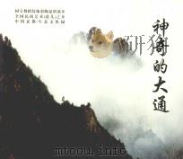 神奇的大通（ PDF版）