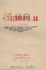黑龙江流域中国方面的森林 1959 PDF电子版封面 В.Я.柯尔丹诺夫著