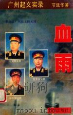 血雨 1995 PDF电子版封面 7536020562 节延华著
