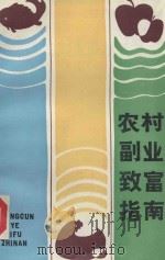 农村副业致富指南   1987  PDF电子版封面  7532300110  唐宗等著 