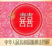 中华人民共和国婚姻法图解 1980 PDF电子版封面 8081·12327 贺友直,汪观清绘画