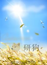 爆破器材及其安全技术 PDF电子版封面 张浩波编著