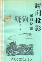 瞬间投影 1990 PDF电子版封面 7206009530 马增奇著