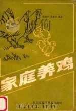 家庭养鸡   1987  PDF电子版封面  7538803503  陈敏华，陈淑英编著 
