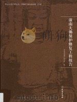 潼南大佛保护修复工程报告 PDF电子版封面 中国文化遗产研究院编;詹长法主编;张可,高峰,刘志勇副主编