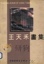 王天禾画集   1992  PDF电子版封面  750610542X  王天禾绘 