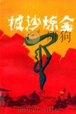 披沙炼金 1993 PDF电子版封面 7800272818 许志,张振华编著