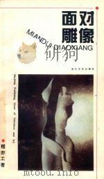 面对雕像   1995  PDF电子版封面  7533908589  嵇亦工编 