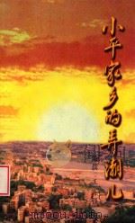小平家乡的弄潮儿   1996  PDF电子版封面  7536434766  王富强编撰 