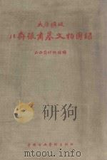 太原圹坡北齐张肃墓文物图录   1958  PDF电子版封面  802990  山西省博物馆编 
