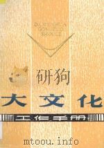 大文化工作手册   1989  PDF电子版封面  7224006750  陕西省文化厅，陕西省群众文化学会编 