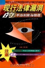 现行法律漏洞的不当利用与防范 下 1999 PDF电子版封面 7801143841 袁仁辉主编;朱元军,罗永箴副主编