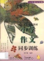 九年义务教育六年制五年级小学作文同步训练 1996 PDF电子版封面 7543014904 孙中强编著