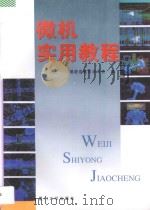 微机实用教程 1996 PDF电子版封面 7561511914 福建省教育委员会编;钱维民主编;张全伙,郭躬德,薛永生副主编