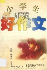 小学生好作文·六年级 1996 PDF电子版封面 7561310919 赵淑芬主编