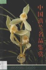 中国滇兰名品鉴赏   1993  PDF电子版封面  754100863X  陈贵，方沛章编著 