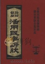 诉讼顾问活用民事诉讼 1982 PDF电子版封面 大公文化事业股份有限公司编