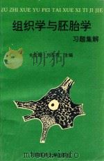 组织学与胚胎学习题集解   1995  PDF电子版封面  7810480448  金宏勋，刘玉荷主编；邹丹，张桂娥，胡群员等副主编 