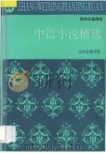 中篇小说精选   1993  PDF电子版封面  7805515441  张炜著 