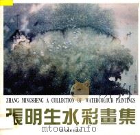 张明生水彩画集   1996  PDF电子版封面  7541012203  张明生绘 
