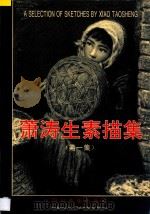 萧涛生素描集  汉英对照  第1集   1995  PDF电子版封面  7541009636  萧涛生绘 