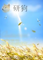 晋城市建市十周年报告文学丛书 泽州新天 城区卷 1994 PDF电子版封面 7810327518 崔巍主编