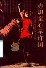 赤炽童心早许国 1998 PDF电子版封面 7536026854 吕坪著