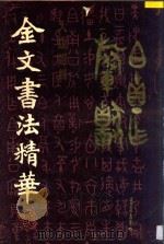 金文书法精华 1992 PDF电子版封面 780049845X 大康选辑