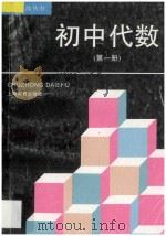 自学提高丛书  初中代数  第1册   1996  PDF电子版封面  7532042251  唐盛昌等编 