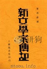 新文学家传记 1934 PDF电子版封面 贺炳铨编