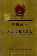 青铜峡市人民代表大会志  1949年11月-1997年4月（ PDF版）