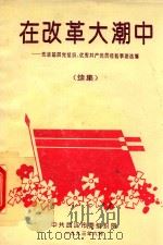 在改革大潮中-先进基层党组织、优秀共产党员经验世纪选编(续集) 1993 PDF电子版封面