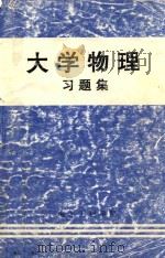 大学物理习题集   1998  PDF电子版封面    康颖主编 