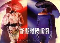 新潮时装1100例   1988  PDF电子版封面  7800492850  （日）内滕朗编著；孙振红等译 