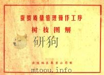 蚕茧质量管理操作工序树枝图解（ PDF版）