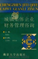 城镇集体企业财务管理咨询 1992 PDF电子版封面 7305016772 何忠仁主编