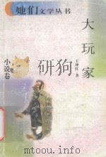 大玩家 1998 PDF电子版封面 7222023070 王坤红著