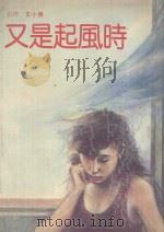 又是起风时   1989  PDF电子版封面  7505701843  玄小佛著 