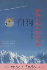 新星升起的那段轨迹 二十五名青少年成才录 1991 PDF电子版封面 7805661693 李冶主编;刘世琦,李之熙,赵中副主编