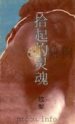 拾起的灵魂   1999  PDF电子版封面  7541976628  牧犁著 