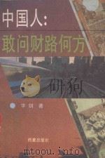中国人:敢问财路何方 1993 PDF电子版封面 7800194280 宇剑著