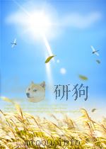 高等院校学前教育专业规划教材  幼儿园课程概论  第2版     PDF电子版封面     
