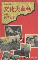 文化大革命中的地下文学 墓地与摇篮 1993 PDF电子版封面 7505401912 杨健著