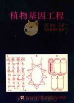 植物基因工程   1991  PDF电子版封面  957958043X  多兹（J.H.Dodds）主编 
