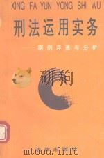 刑法运用实务 案例评述与分析 1994 PDF电子版封面 7503614560 张永胜,吕金瑞,白长友主编