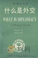 什么是外交 PDF电子版封面 黄金祺著