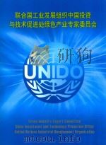 联合国工业发展组织中国投资与技术促进处绿色产业专家委员会 PDF电子版封面